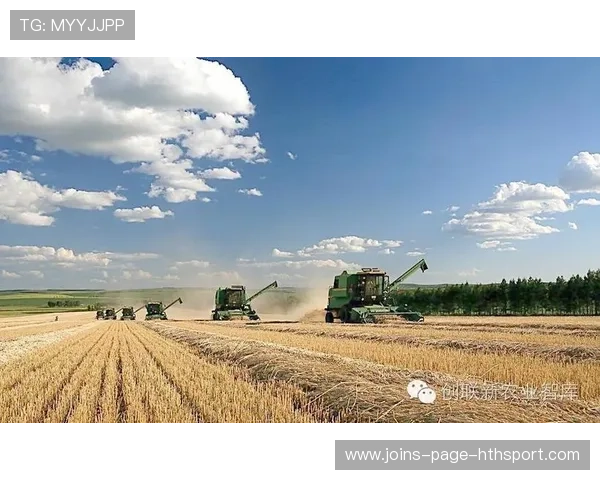 亚特兰大若把握好发展节奏,未来竞争力不可小觑 亚特兰大若把握好发展节奏,未来竞争力不可小觑