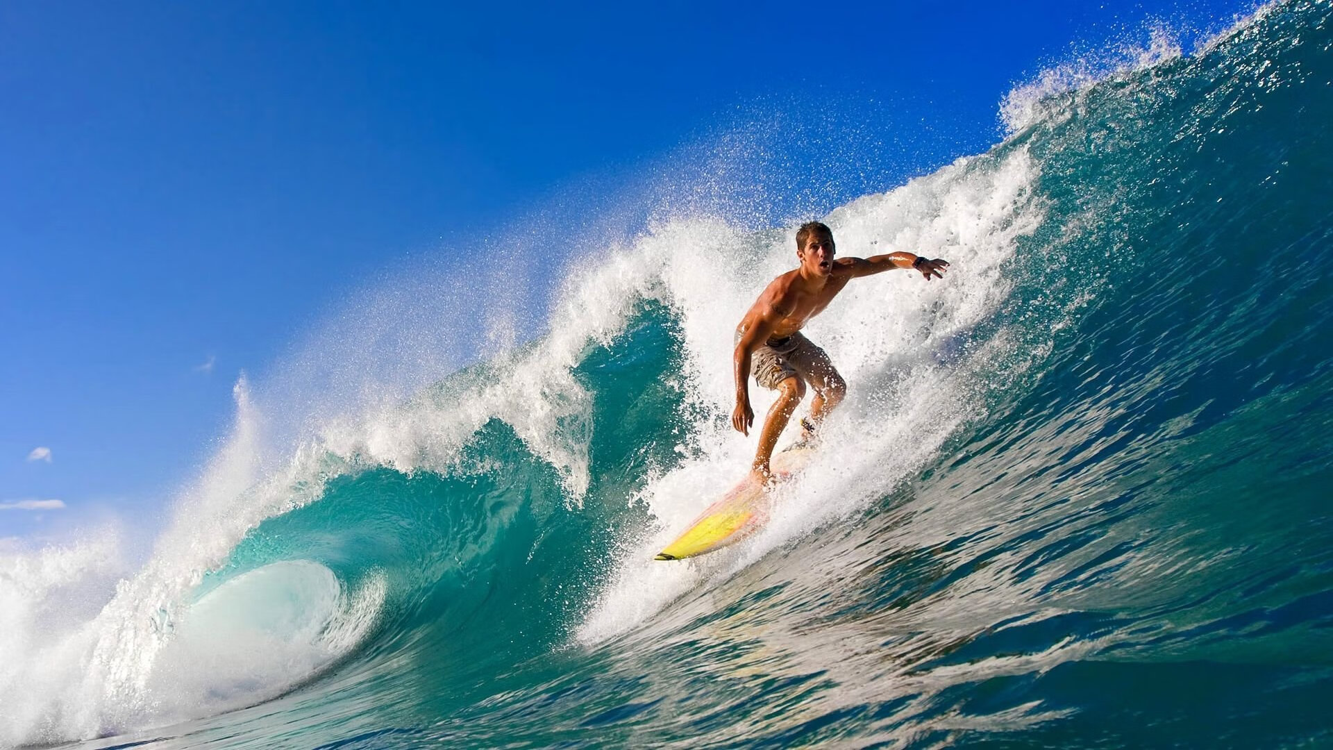 世界排球锦标赛精彩不断